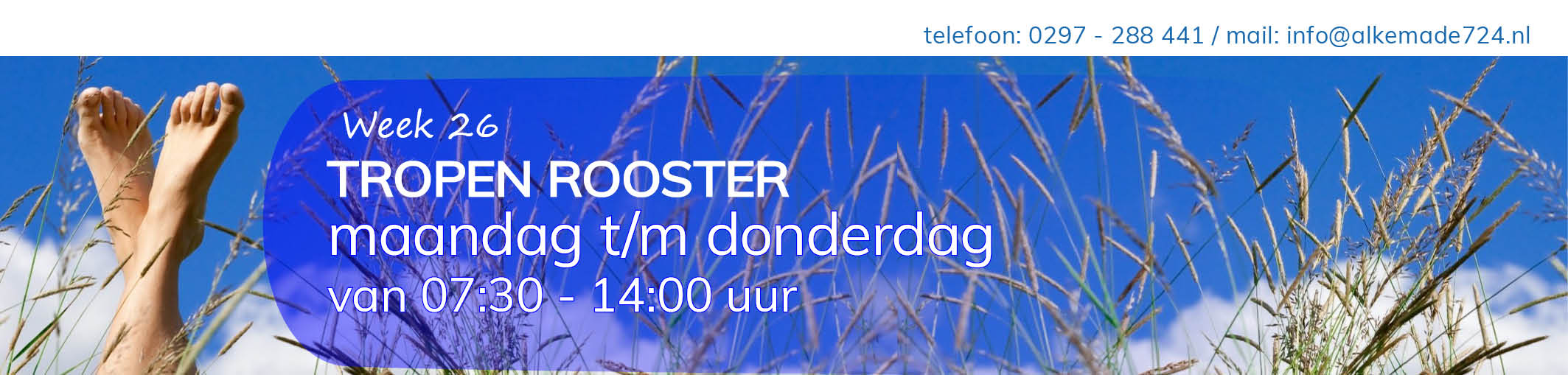 Tropen rooster